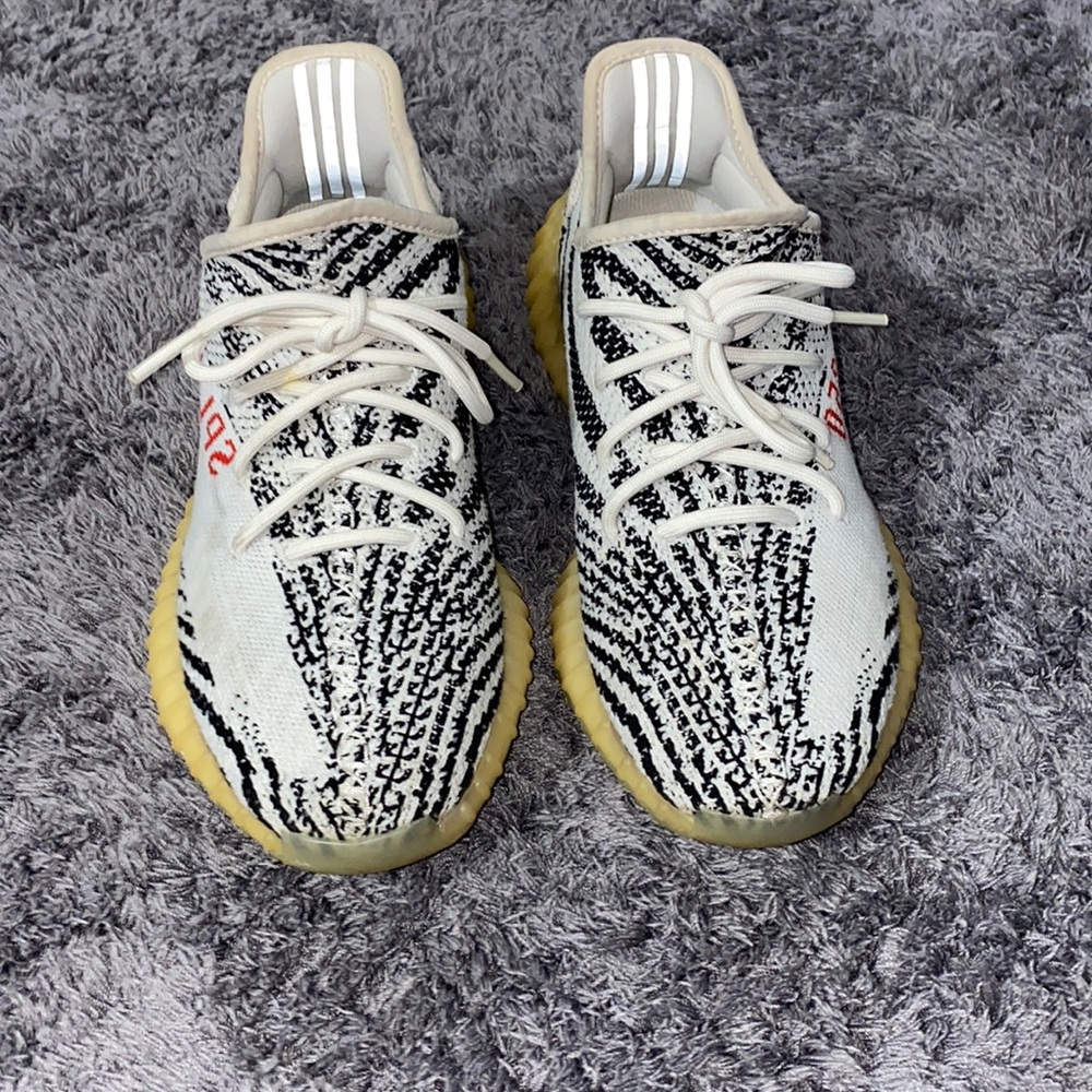 Yezzy Zebra 8 1/2